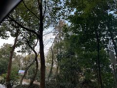 -平湖九龙山旅游度假区