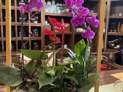 -沐春秋茶书院·茶室.茶馆.商务包房(知春路店)