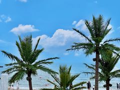 -渔岛海洋度假区