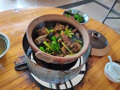 -霞姐屯昌枫木香草鸭店(海螺店)