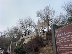 -紫金山山顶公园