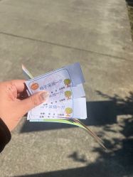 -前小桔亲子创意农场·草莓采摘·露营烧烤