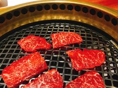 -肉魁屋·烧肉·烧鸟·酒场(高新店)