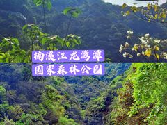 -龙湾潭国家森林公园