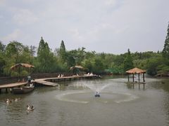 -溱湖国家湿地公园