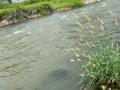 -紫荆关