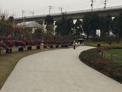 -秀丽东方
