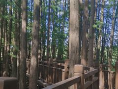 -东湖落雁景区