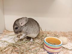 -龙猫仔乐园(惠福东路店)