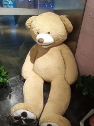 -doladola(徐家汇店)