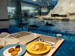 -帝企鹅自助餐厅•儿童岛•真企鹅(长隆企鹅酒店)