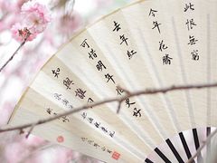 -天适樱花悠乐园