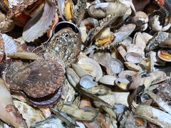 -永红源啤酒·烧烤·海鲜·大排档(青特城店)