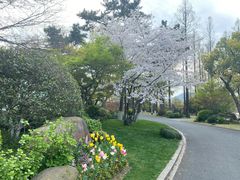 -浙江西子宾馆·瑶园咖啡厅