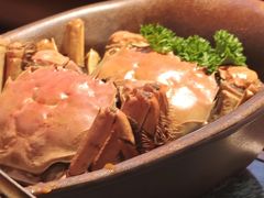 -牛New寿喜烧(金鹰世界店)