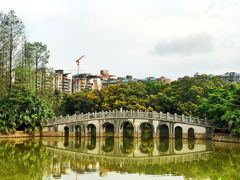 -四海公园(南山区)