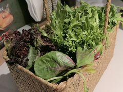 -芸山季·云南山珍菌火锅(南翔印象城MEGA店)