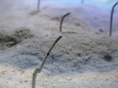 -鹿儿岛水族馆