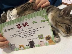 -守诺宠物医院·眼科· 特色牙科·异宠专科(虹口店)
