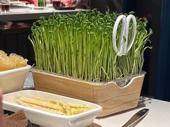 -海底捞火锅(国奥村店)