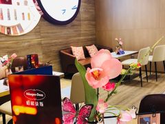 -哈根达斯(国瑞店)