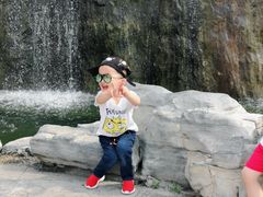 -合肥滨湖国家森林公园