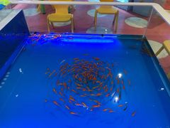 -天虹购物中心(石路店)