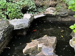 -谷咖啡·鲜花绿植花园餐厅