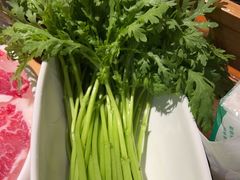 -手选潮汕鲜牛肉火锅(二七广场店)