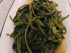 -高坎一品甲鱼庄(两河店)