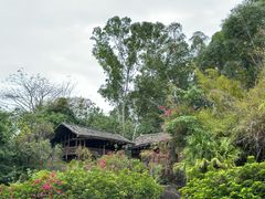 -深圳国际园林花卉博览园