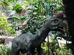 -呀路古热带植物园