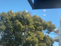-寻味乌镇·龙虾烧烤