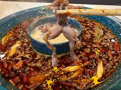 -渔香岛美蛙鱼头火锅(威清路店)