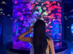 -合肥海洋世界