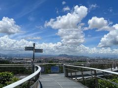 -仙岳公园