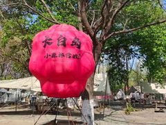 -长白岛森林公园