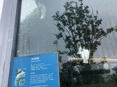 -上方山森林动物世界