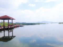 -苏州太湖湖滨国家湿地公园