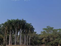 -中国科学院西双版纳热带植物园