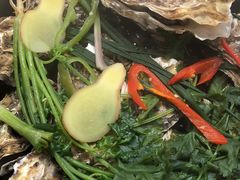 -千岛蚝高压锅生蚝·人参火锅(白云万达店)