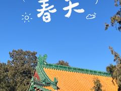 -颐和园