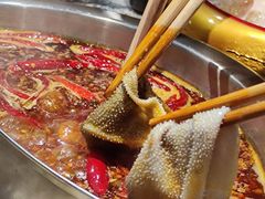 -渝味晓宇火锅(合川路店)