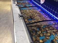 -川骄海鲜自助(河东店)
