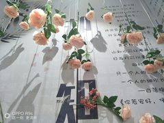 -星空失恋博物馆(北京路旗舰店)