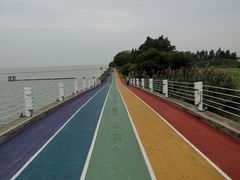 -贡湖湾湿地公园