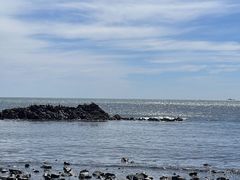 -青岛石老人海水浴场