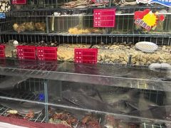 -大胡子海鲜·天津菜·砂锅烧烤(五大道创始店)