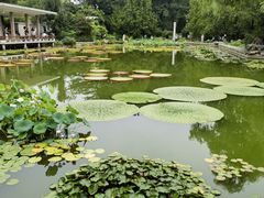 -国家植物园南园