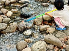 -白塘生态植物园